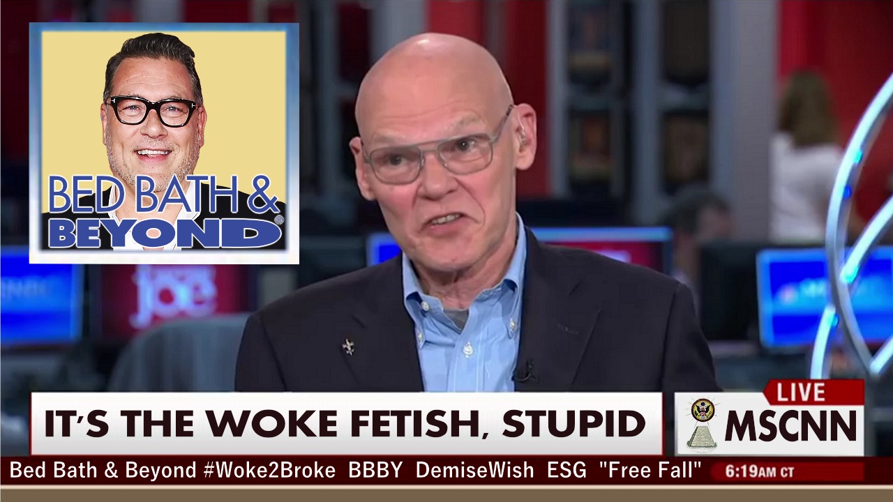 Bed Bath & Beyond CEO and President Mark Tritton embraces Woke PC ideology and ESG but forgot about Profit & Loss All Dollars Matter except when you are a Woke tool of financially destructive Socialistic Ideologies or just want to Short BBBY till it files Chapter 11