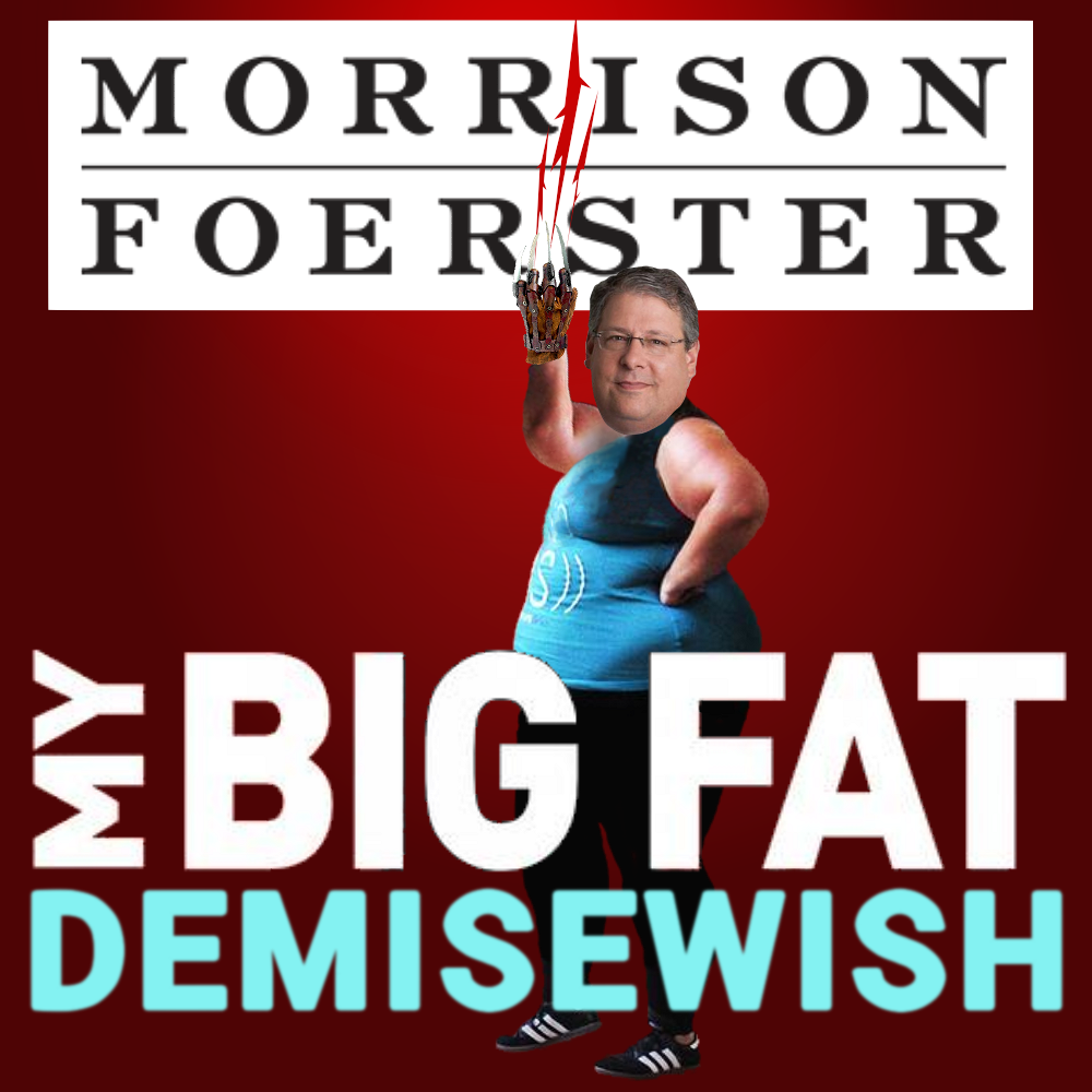 Larren Nashelsky is transitioning into the Big Hot MoFo of Morrison Foerster Sometimes too much is Just Enough